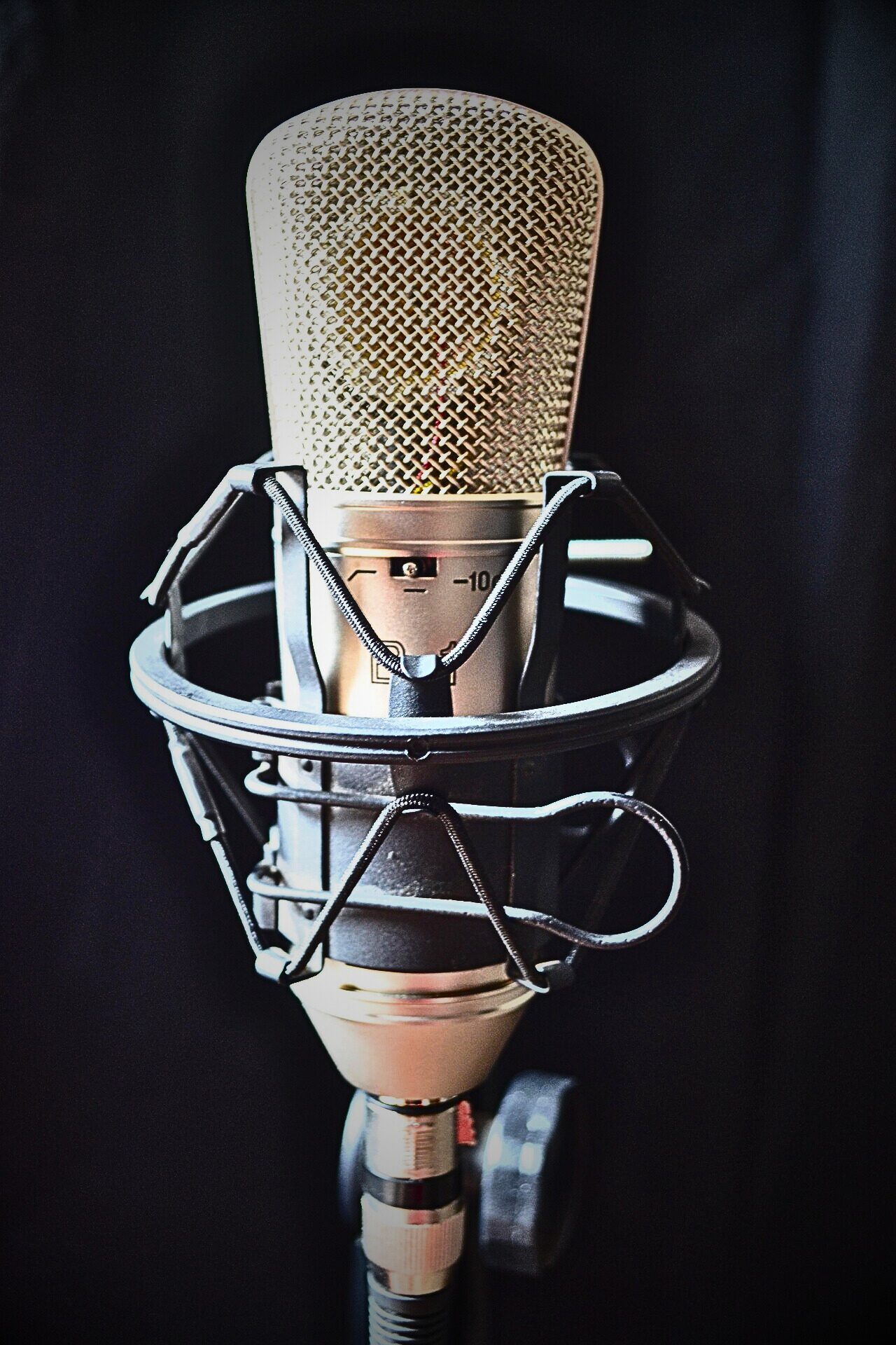 Condenser Microphone — Voice Recording Studio München Condenser Microphone — Voice Recording Studio München